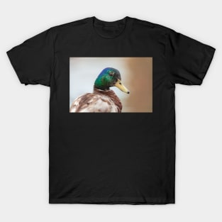 Mallard Male T-Shirt